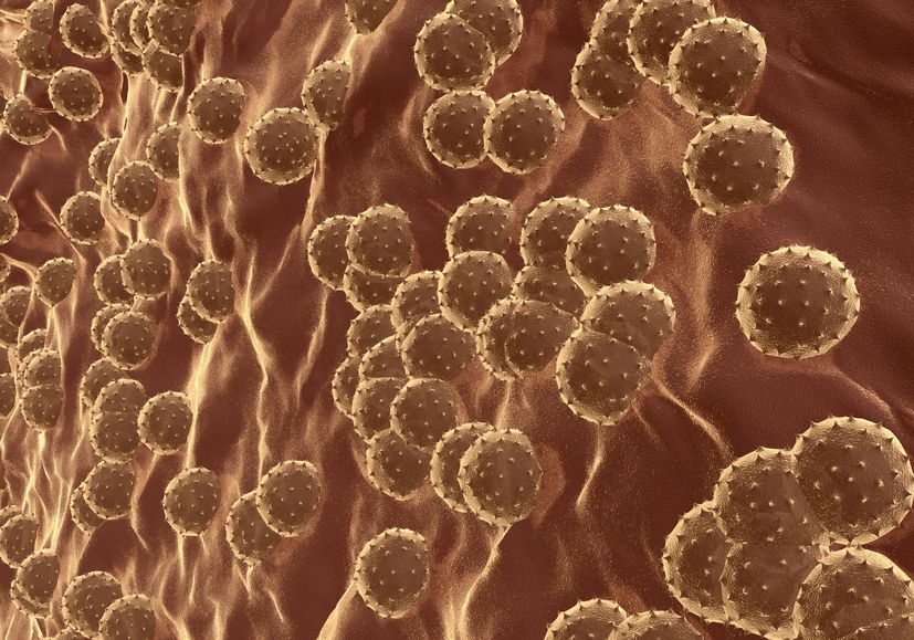 Hepatitis